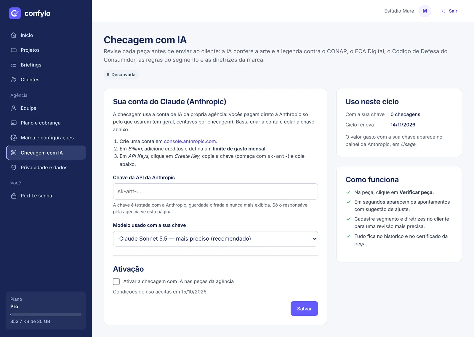 Configuração da Checagem com IA, antes de colar a chave.