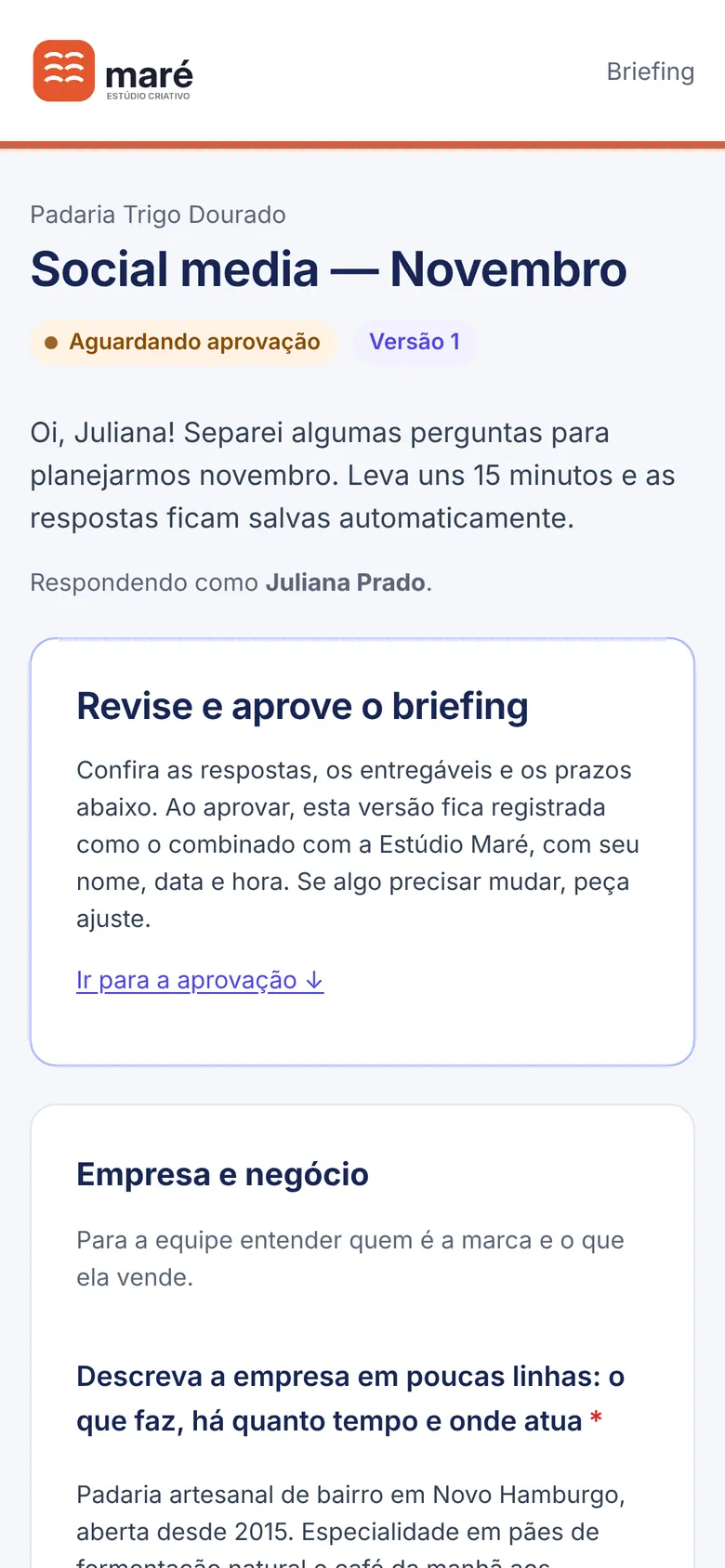 O cliente revisa o briefing.